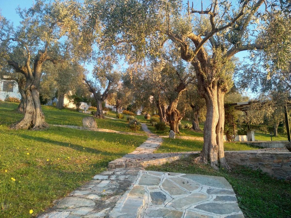 Villa Saint Andrews Bay à Milína Extérieur photo